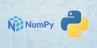 essential NumPy functions for data scientists